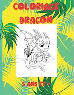 Coloriage Dragon - 5 ans et +