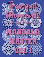 Tranquil Moments - Mandala Master Vol 1: 50 Challenging Designs 
