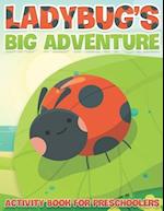 Ladybug's Big Adventure : Activity Book For Preschoolers 