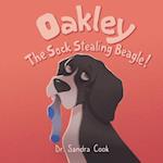 Oakley the Sock Stealing Beagle!