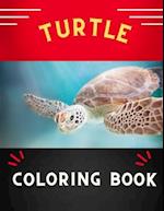 Turtle coloring book