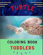 Turtle coloring book for toddlers