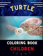 Turtle coloring book children