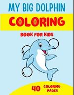 My Big Dolphin Coloring Book for Kids