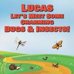 Lucas Let's Meet Some Charming Bugs & Insects!