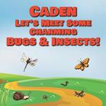 Caden Let's Meet Some Charming Bugs & Insects!