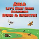 Aria Let's Meet Some Charming Bugs & Insects!