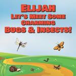 Elijah Let's Meet Some Charming Bugs & Insects!