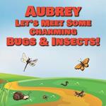 Aubrey Let's Meet Some Charming Bugs & Insects!