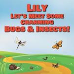 Lily Let's Meet Some Charming Bugs & Insects!