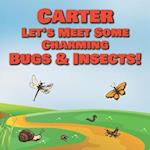 Carter Let's Meet Some Charming Bugs & Insects!