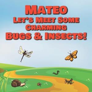 Mateo Let's Meet Some Charming Bugs & Insects!