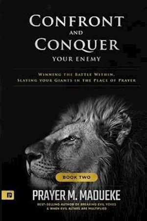 Confront and Conquer your Enemy (Book 2)