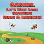 Gabriel Let's Meet Some Charming Bugs & Insects!