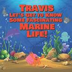 Travis Let's Get to Know Some Fascinating Marine Life!