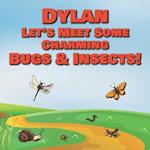 Dylan Let's Meet Some Charming Bugs & Insects!