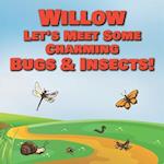 Willow Let's Meet Some Charming Bugs & Insects!