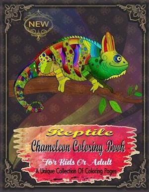 Reptile Chameleon Coloring Book