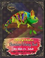 Reptile Chameleon Coloring Book