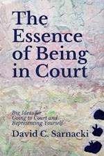 The Essence of Being in Court: Big Ideas for Going to Court and Representing Yourself 