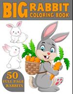 The Big Rabbit Coloring Book