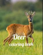 Deer coloring book