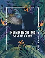 Hummingbird Coloring Book