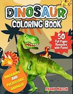 Dinosaur Coloring Book