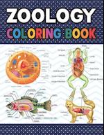 Zoology Coloring Book: Collection of Simple Illustrations of Zoology. The New Surprising Magnificent Learning Structure For Veterinary Anatomy Student