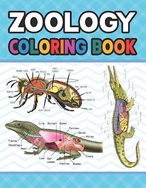 Download Få Zoology Coloring Book af Sarniczell Publication som ...
