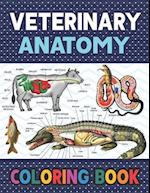 Veterinary Anatomy Coloring Book: Fun and Easy Veterinary Anatomy Coloring Book for Kids. Handbook of Veterinary Anesthesia. Dog Cat Horse Frog Bird A