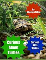 Curious About Turtles