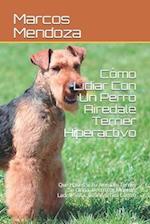 Cómo Lidiar Con Un Perro Airedale Terrier Hiperactivo