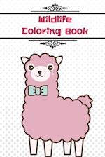 WildLife Coloring Book