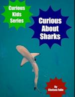 Curious About Sharks