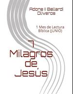 7 Milagros de Jesús