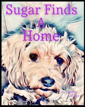 Sugar Finds A Home