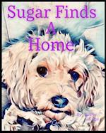 Sugar Finds A Home
