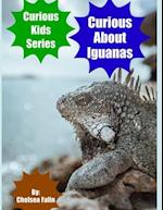 Curious About Iguanas