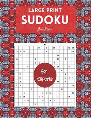 Large print Sudoku for Experts