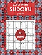 Large print Sudoku for Experts