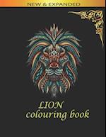 lion colouring book