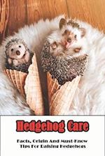 Hedgehog Care_ Facts, Origin And Must-know Tips For Raising Hedgehogs