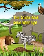 The Sneak Peek Into Wild Life