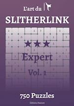 L'art du Slitherlink Expert