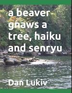 A beaver gnaws a tree, haiku and senryu