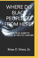 WHERE DO BLACK PEOPLE GO FROM HERE?: A PRACTICAL GUIDE TO SURVIVAL IN THE 21ST CENTURY 