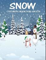Snow coloring books for adults.