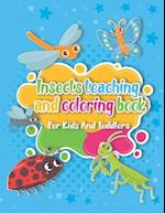 Insects teaching and coloring book for kids and toddlers