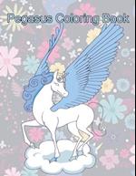 Pegasus Coloring Book